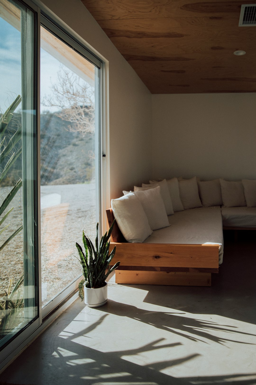 cozy Airbnb apartment living room