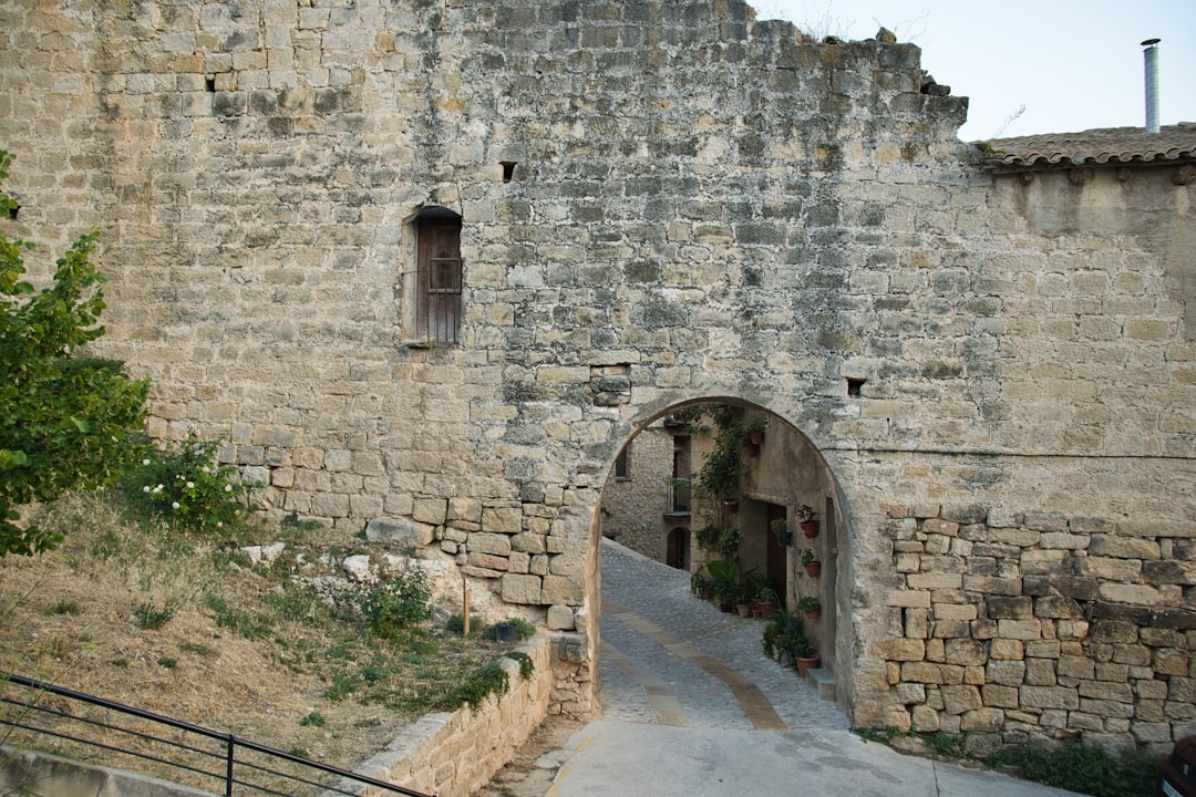 Fortareata lui Samuel apus