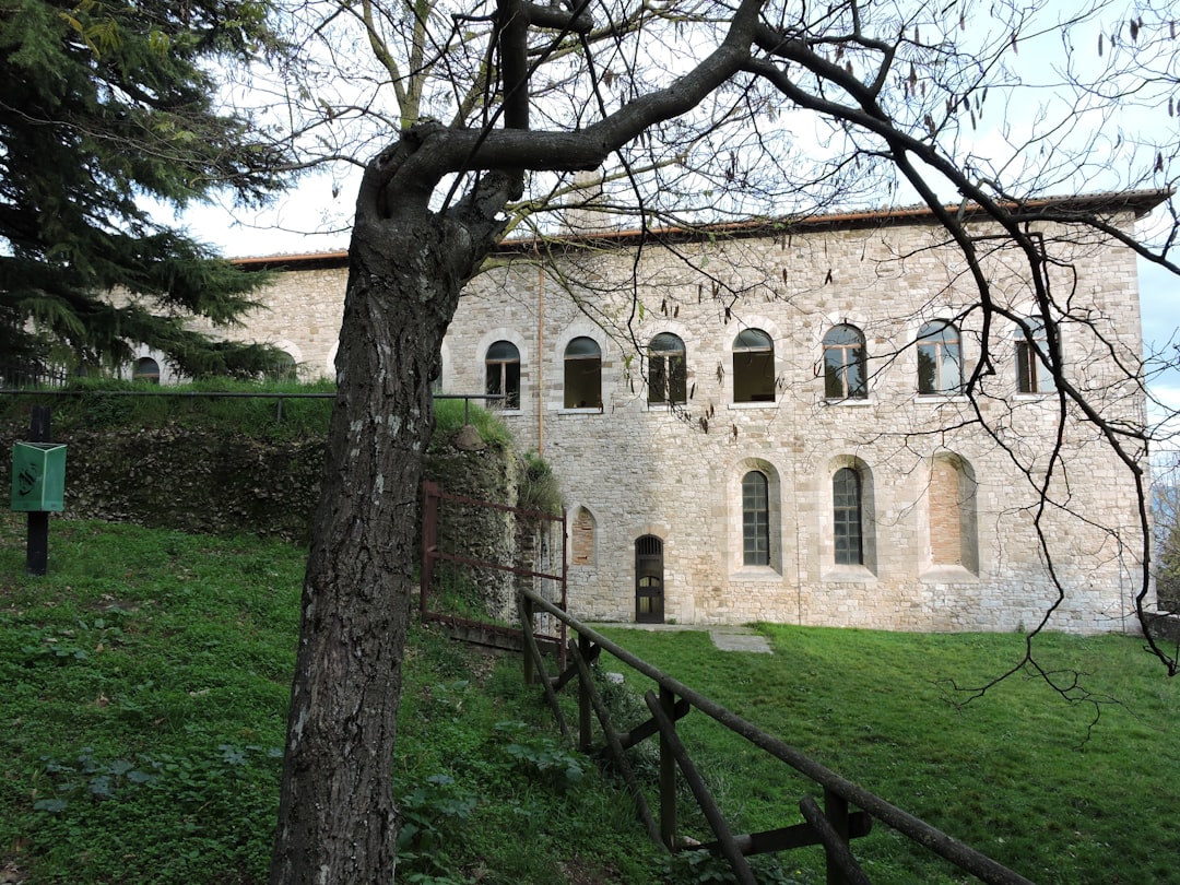 Mănăstirea Žiča exterior