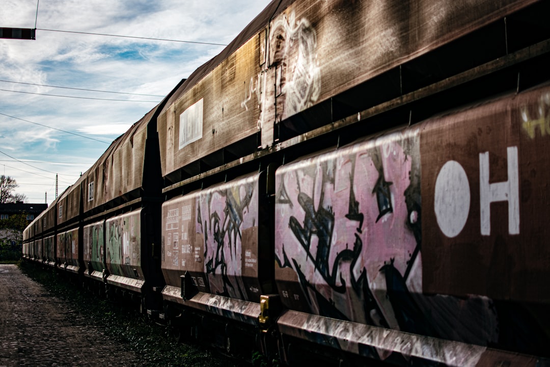 Peisaj din tren spre Monopoli